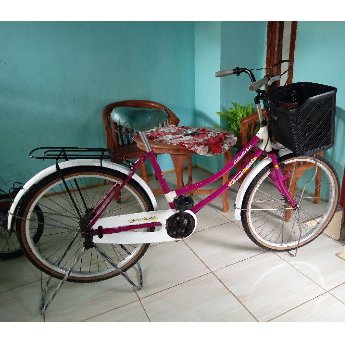 Sepeda dewasa mini 24 inch everbest murah bekas