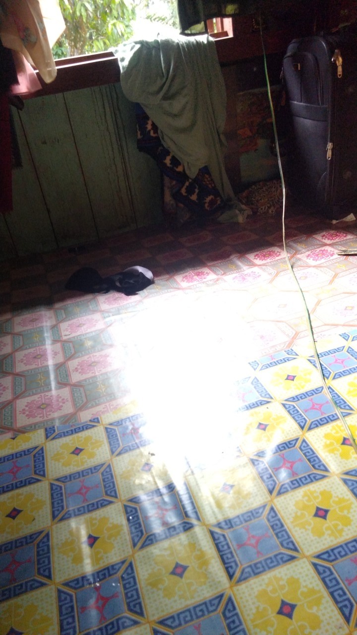 Couple Batik Tunik Modern Seragam Kerja Kantor Lengan Panjang