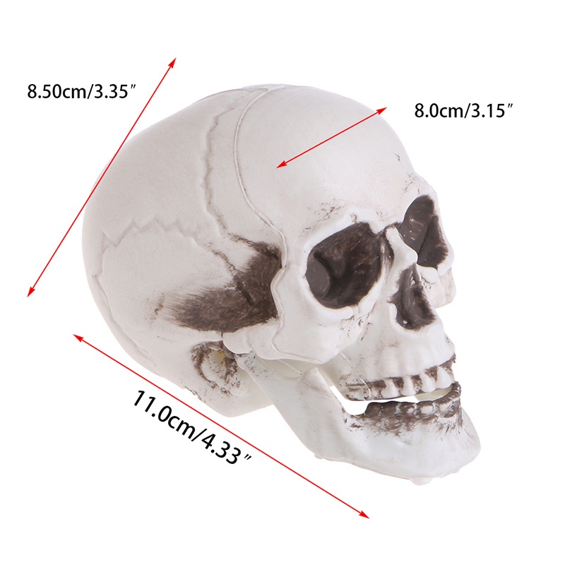 Mary Plastik Manusia Mini Skull Decor Prop Skeleton Untuk Kepala Halloween Coffee Bars Orna