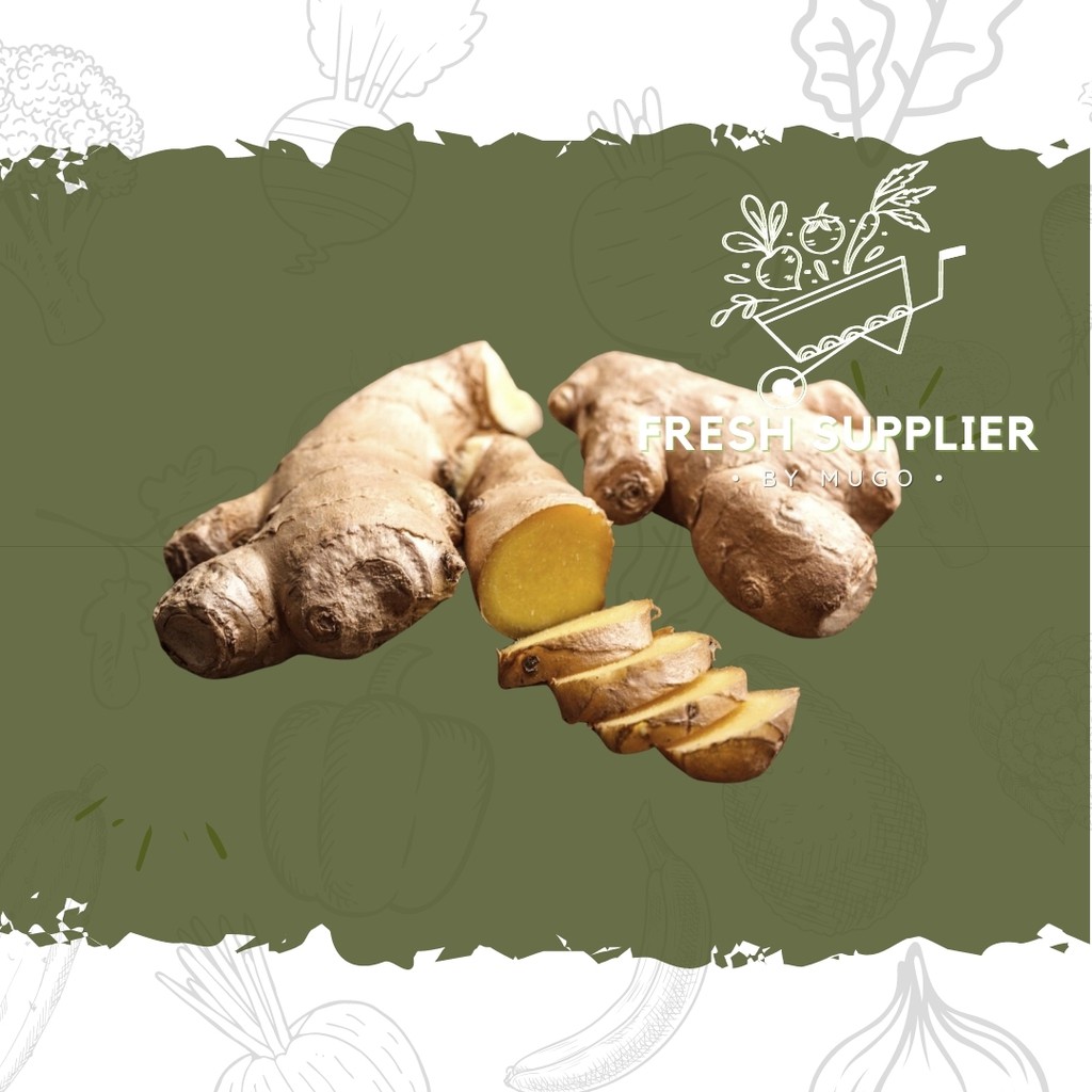 

Jahe 500g Fresh Supplier