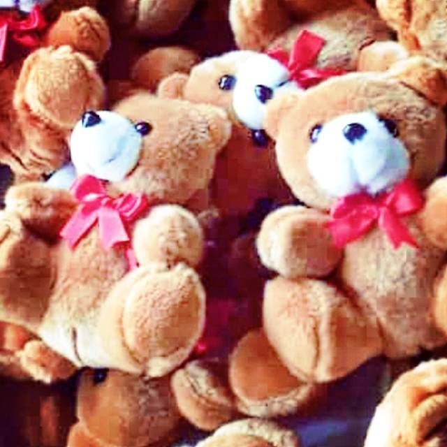 

BonekaTedy bear pita 15cm