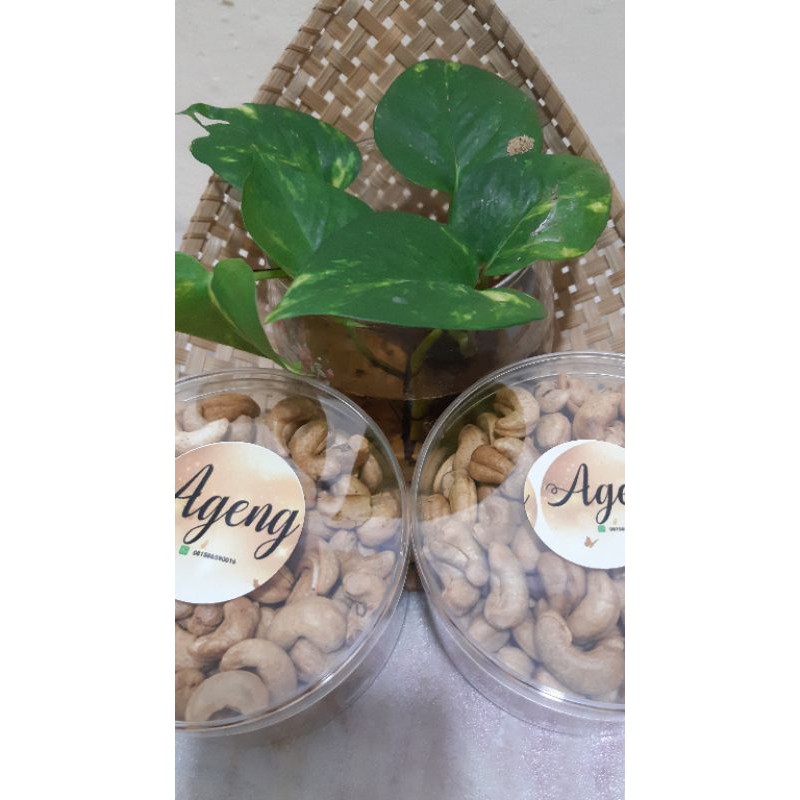 

kacang mede