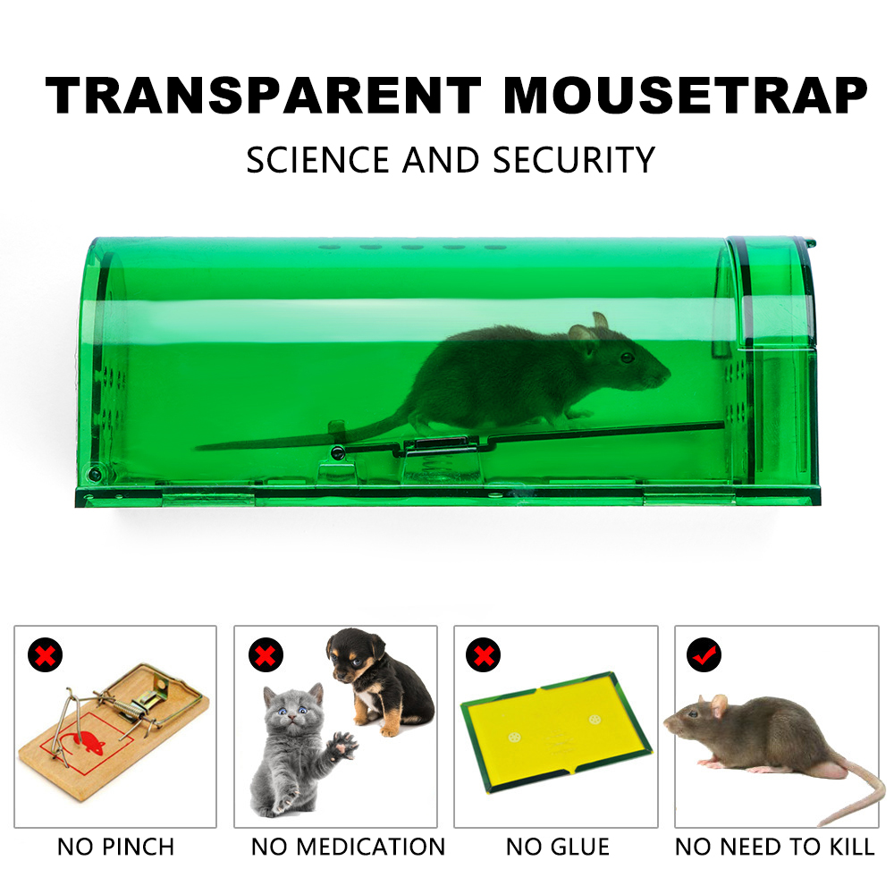 Tangding Perangkap Tikus Hidup Manusia