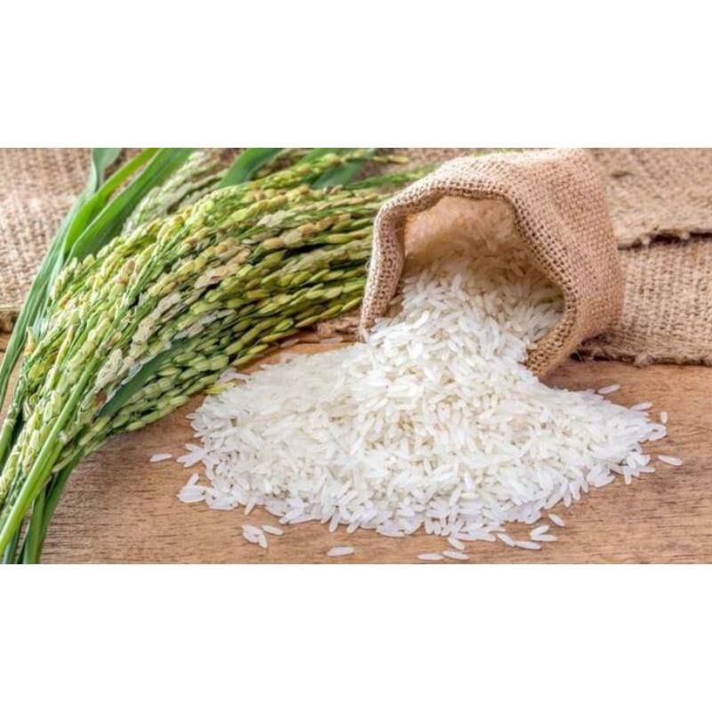 

BERAS KILOAN MULAI DARI 2,5 KG