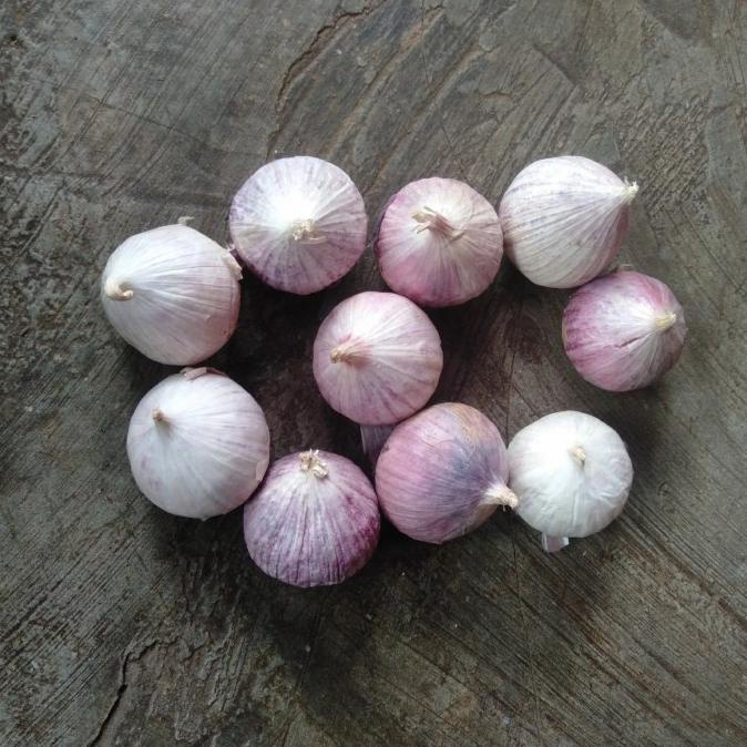 

Bawang Putih Tunggal/Lanang 1 KG - Besar