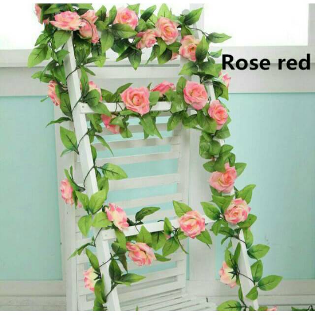 Bunga rambat murah buat dekor