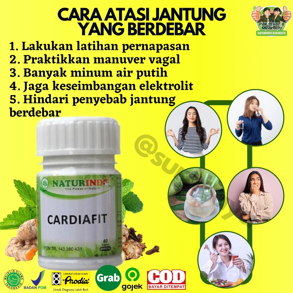 Obat Jantung Koroner Obat Jantung Lemah Telapak Tangan Berkeringat Obat Jantung Herbal Jamu Jantung Sesak Nafas Obat Herbal Perawatan Jantung Jantung sering Berdebar Nyeri Dada sebelah Kiri Tradisional BPOM CARDIAFIT Naturindo Surabaya-4