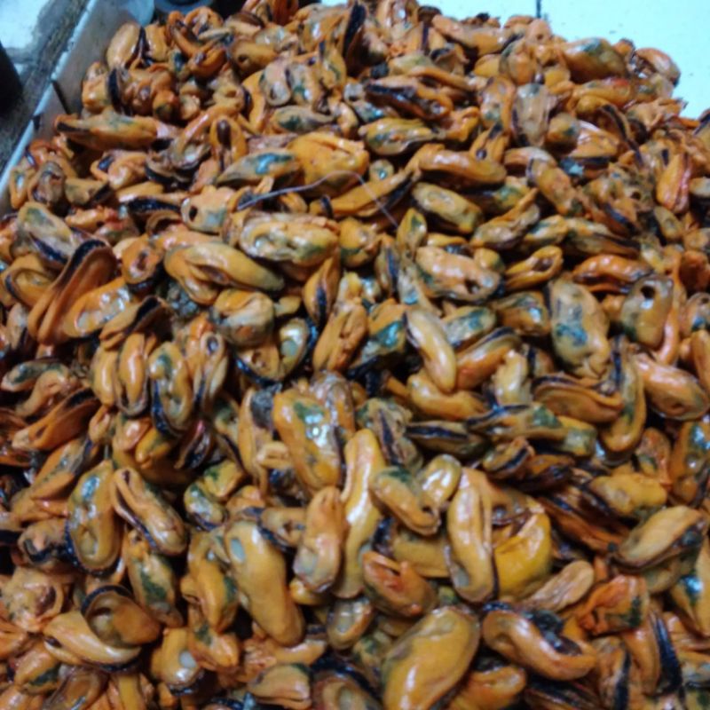 

KERANG / KERANG MURAH DI JAKARTA SELATAN