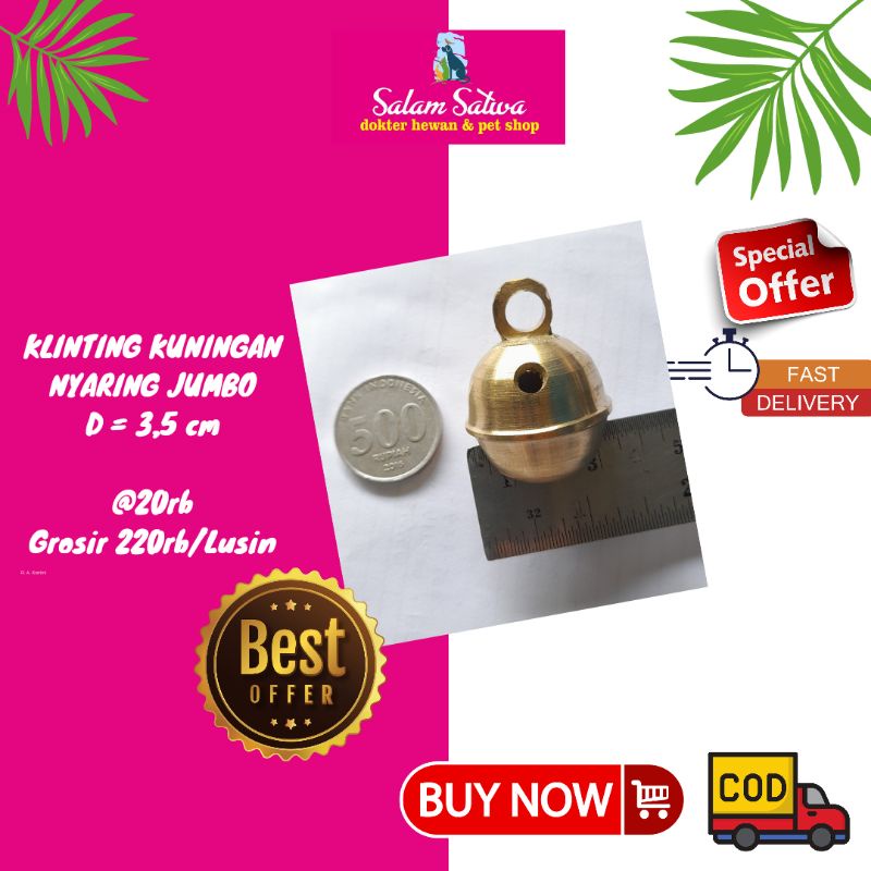 klinting kuningan nyaring jumbo pedet kambing cempe