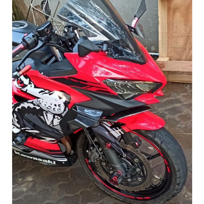 Aero winglet samping ninja fi / wingside ninja fi model Ducati karbon celup wtp