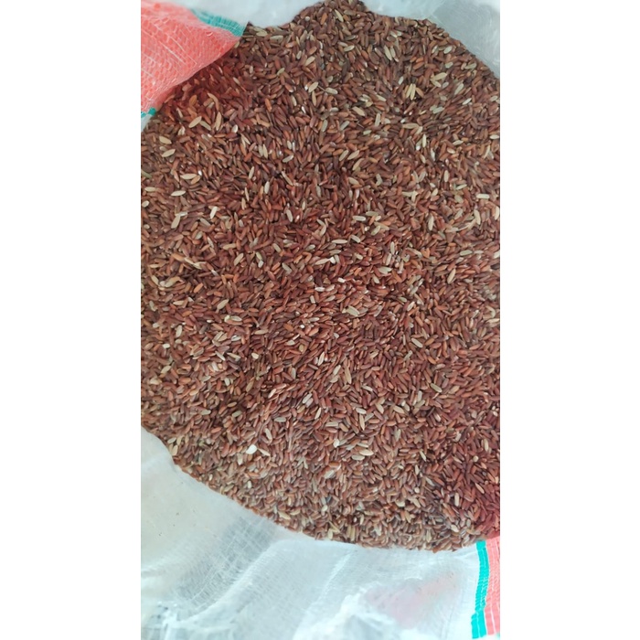 BERAS MERAH UNTUK PAKAN AYAM BURUNG 1KG