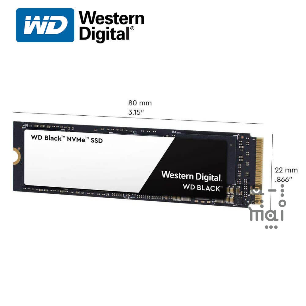 WD SSD Black Nvme WDS500G2X0C 500 GB M.2 WD SSD BLACK Nvme 500GB