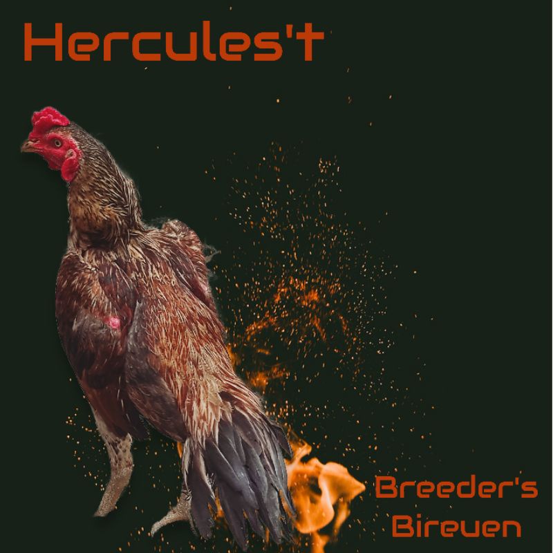 

Telur fertil ayam Bulbi pama iq terlaris