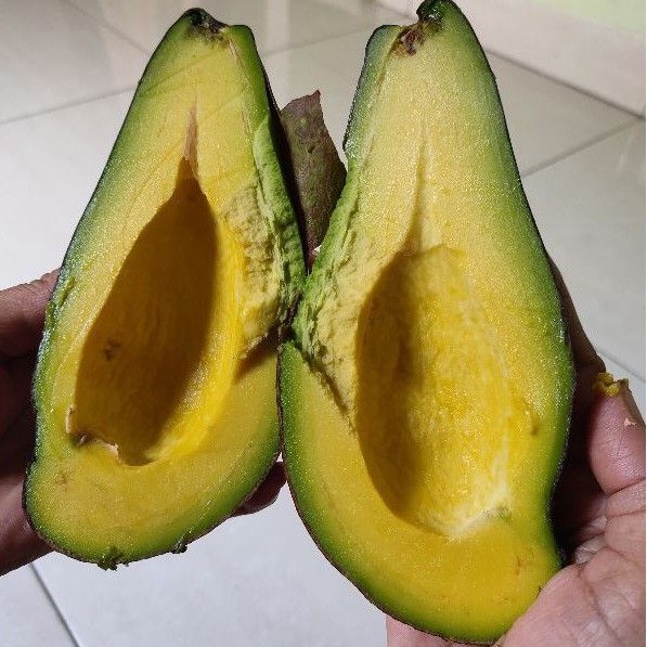 

ALPUKAT MENTEGA BUAH PREMIUM SUPERMARKET 1KG 4BUAH