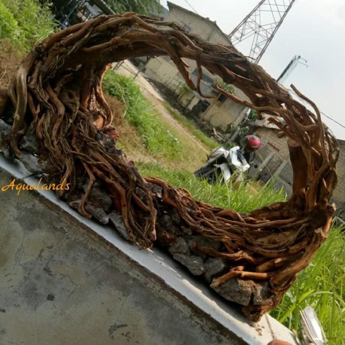 Akuarium Hardscape Aquascape Ukuran 60Cm Kekinian Terlaris