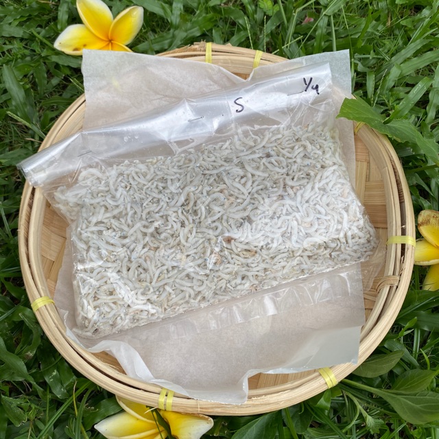 

ikan teri medan ukuran S 250 gr