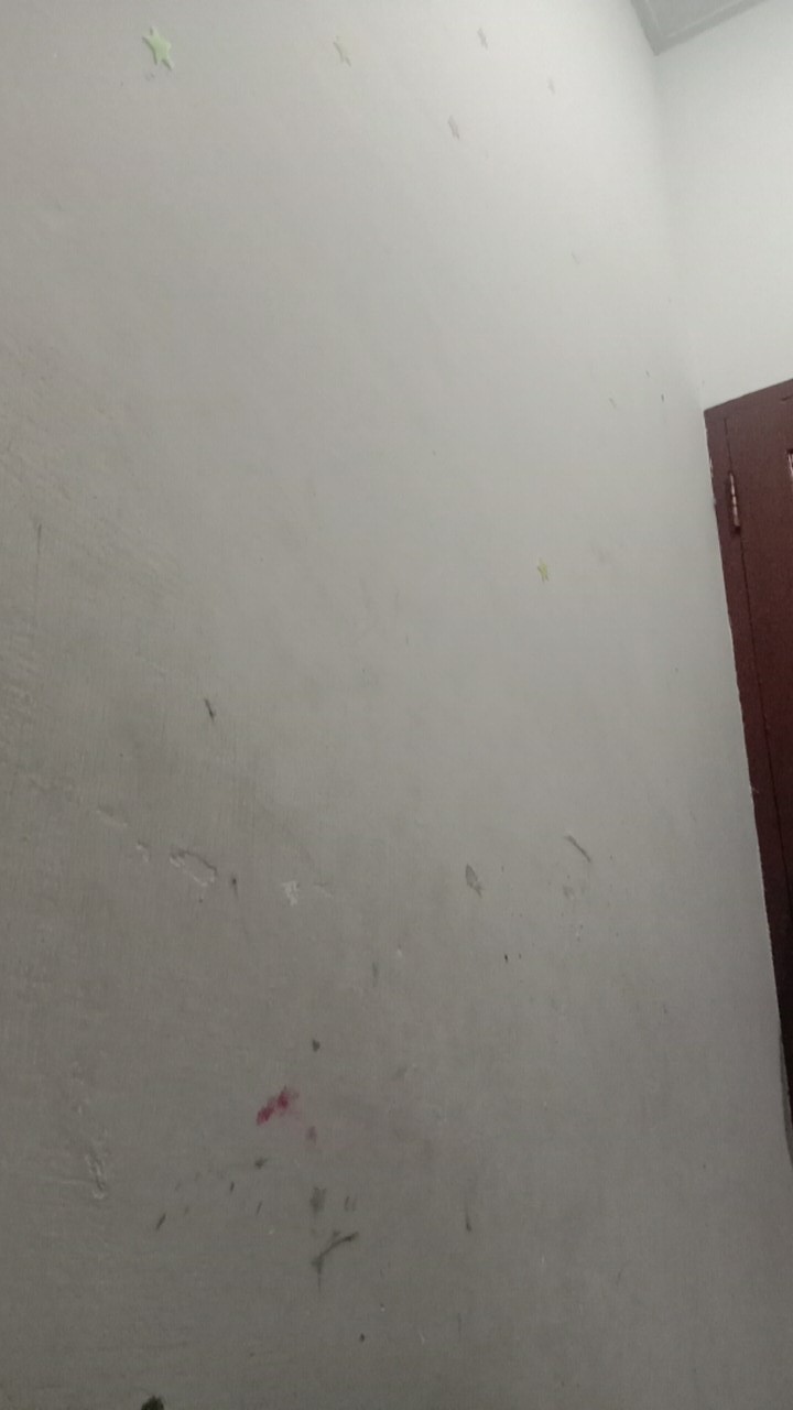 Kuas Masak Silikon Olesan Margarin Kuas Pengoles Telur Murah Di Medan