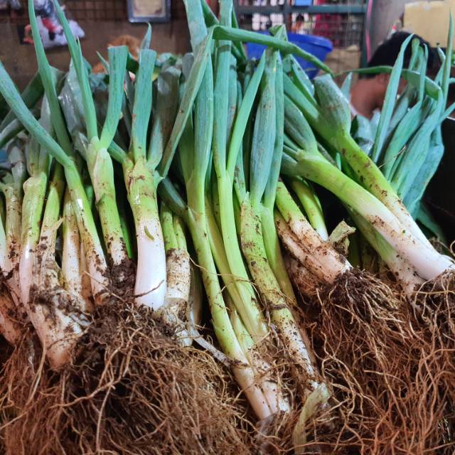 

Daun Bawang Per 50 gram