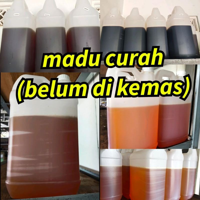 

Madu Murni 100% Mentah Hasil Lebah Tanpa Campuran Organik Raw Honey Asli Lebah Tanpa Proses
