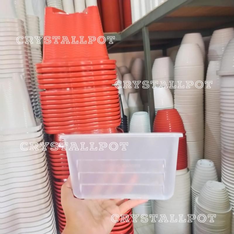 pot bunga tanaman plastik tempel pelangi bening transparan 22cm - nkt pelangi