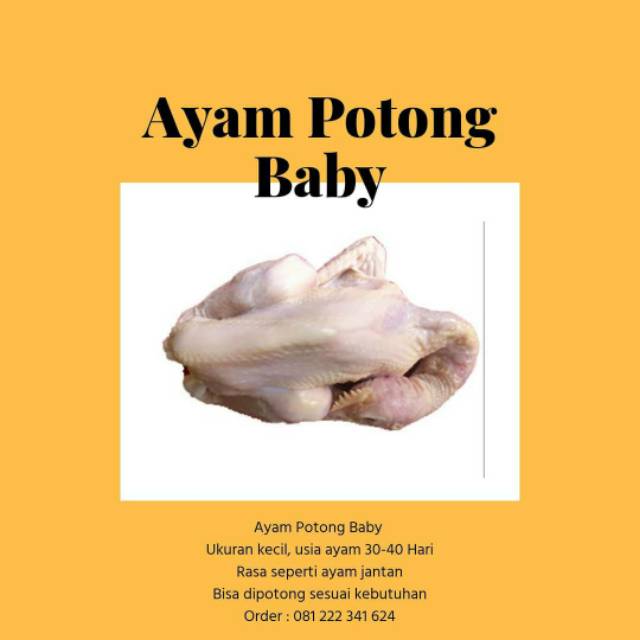 

Ayam Potong Baby (seperti pejantan) 1 kg