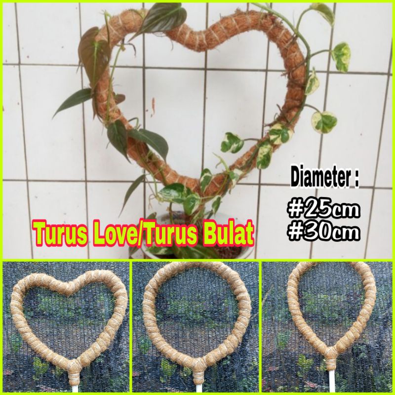 Turus penyangga tanaman - Turus bentuk Love - Turus Ring Bulat Turus rambatan tanaman hias -Turus ti