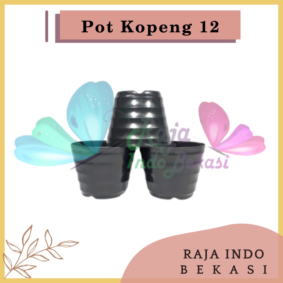 Pot Kopeng 12 Hitam Hitam By Garden Of Love Pot Plastik Mini Kaktus Murah Lucu Mirip Pot Tawon 12