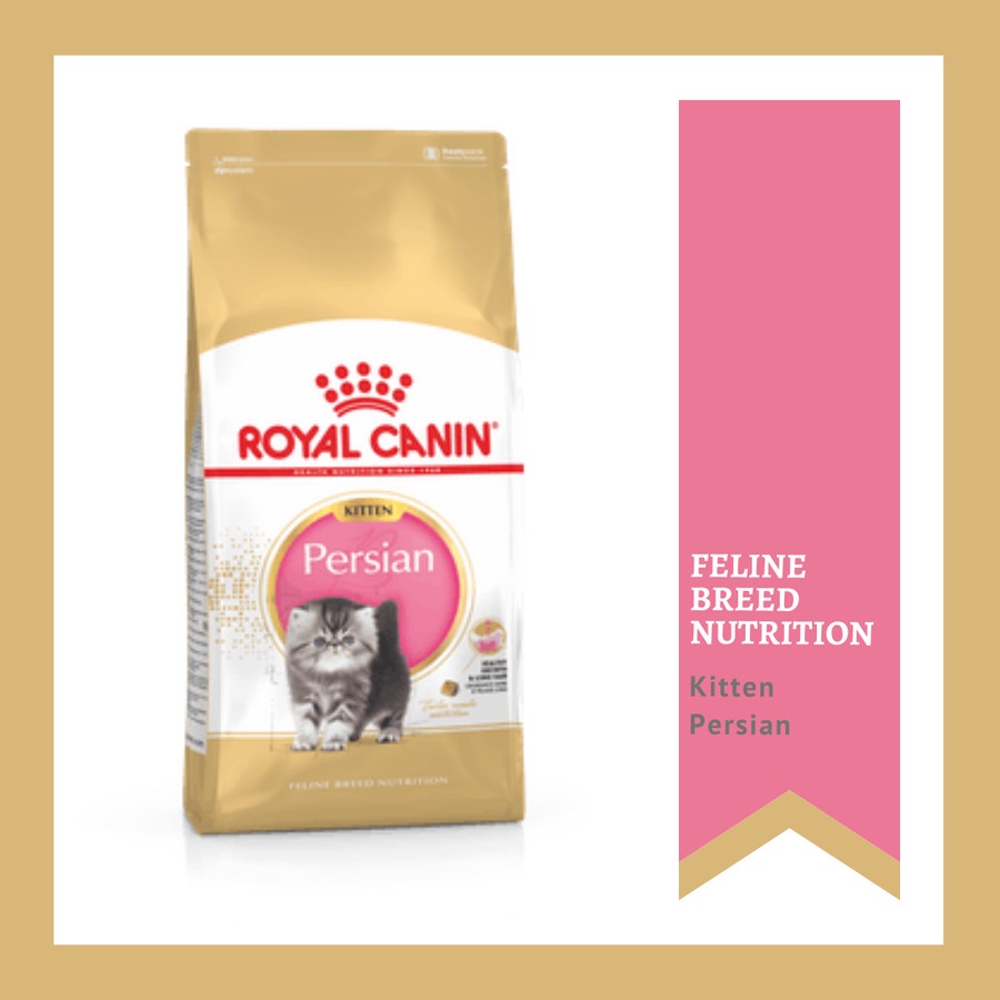 Royal canin persian kitten 4 kg makanan kucing 4kg kitten persian