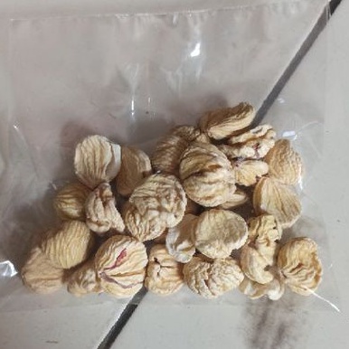 

Lakci Mentah 100g / Chesnut Mentah 100g / Kacang Lakchi Chesnut 100g