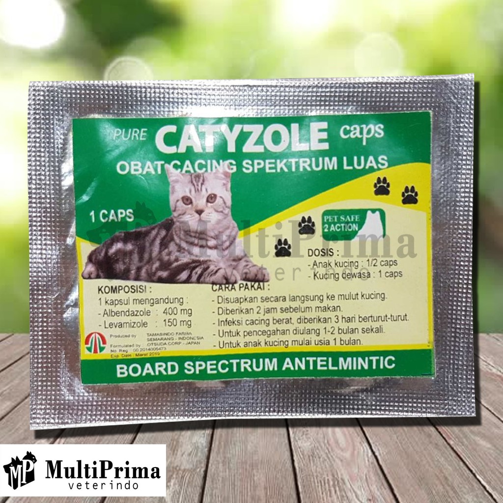 Obat Cacing Kucing Catyzole Capsul Cat 1 Caps Antelmintik