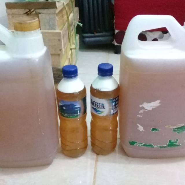 

Madu hutan asli sumbawa kemasan 5ltr