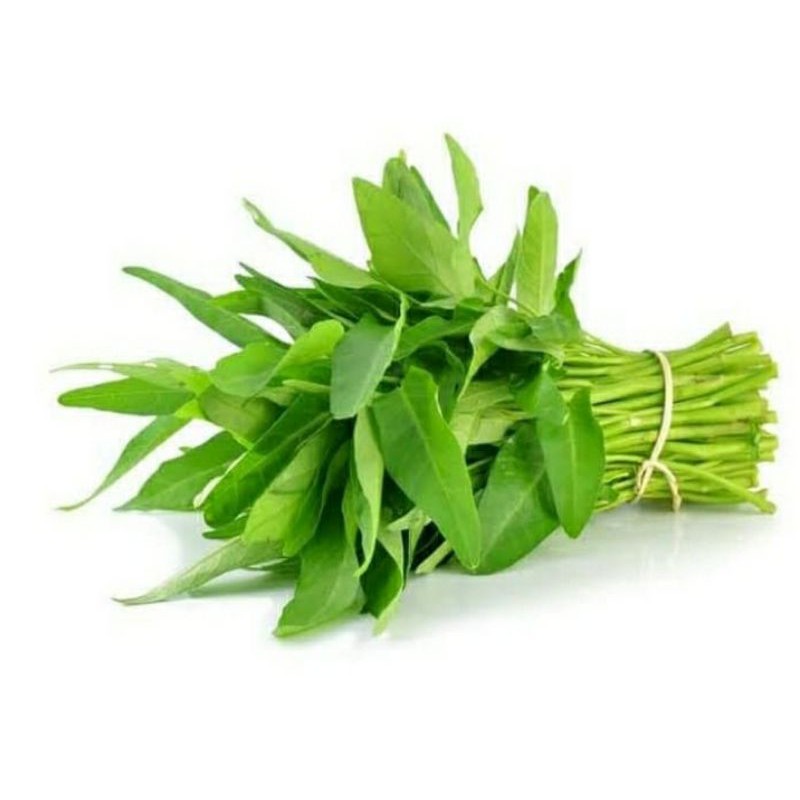 

kangkung sahur perikat