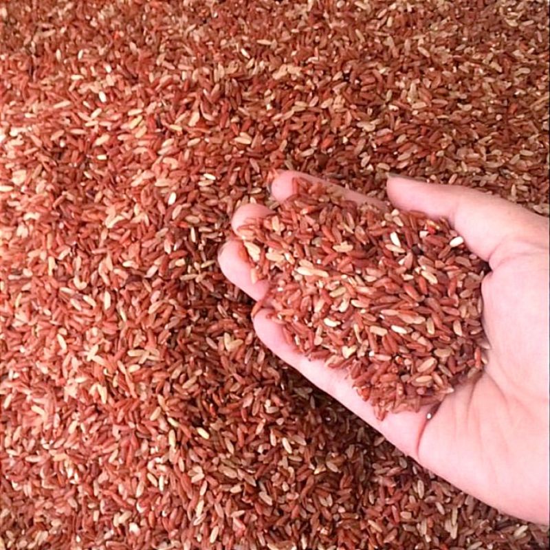 BERAS MERAH 1 KG BERAS PAKAN AYAM BANGKOK BERAS PAKAN BURUNG