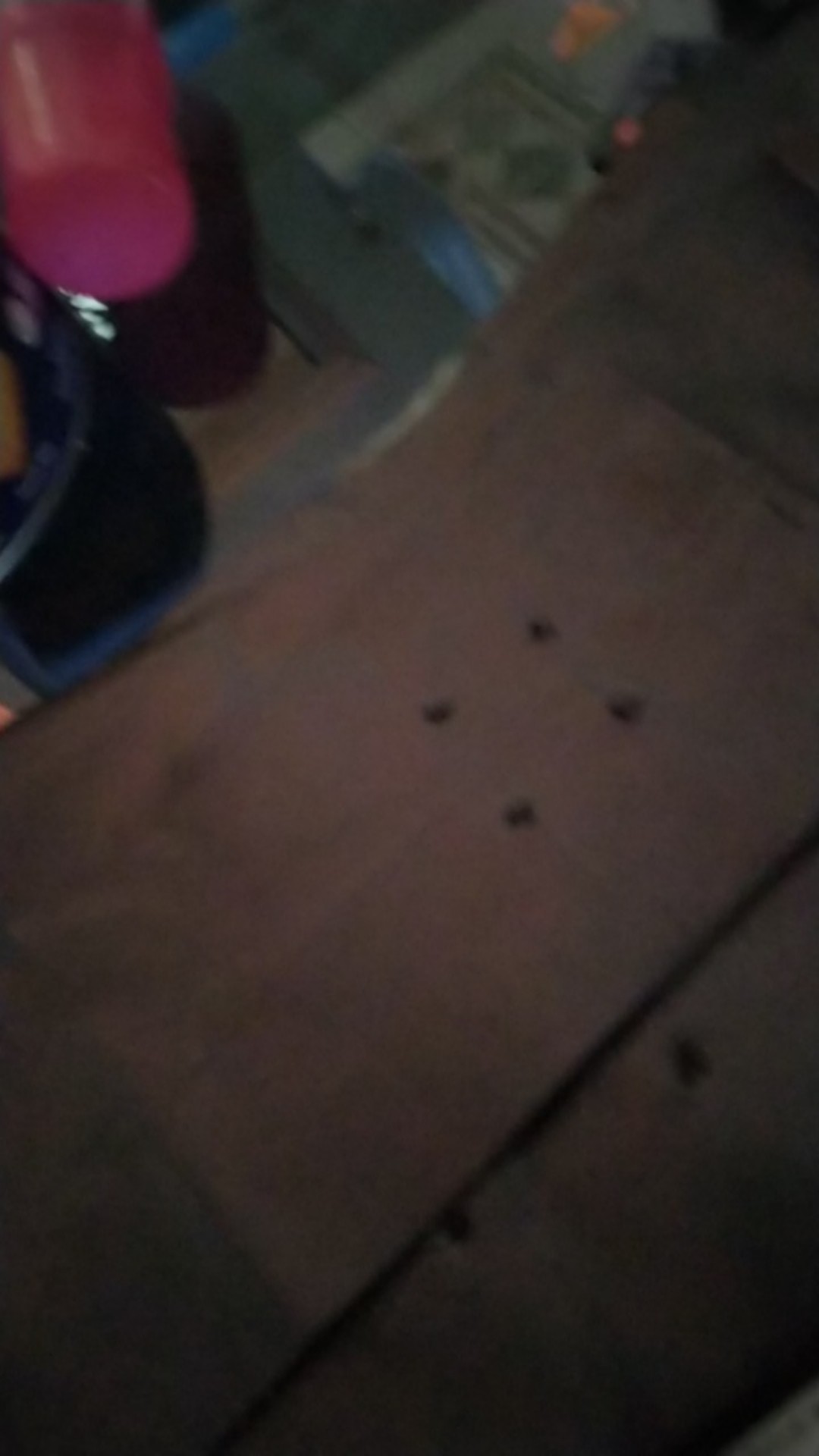 Polybag 25x25 Per Lembar