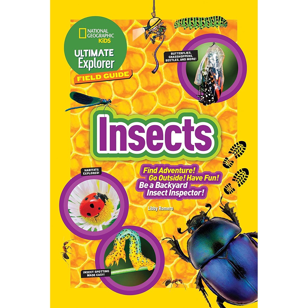 Ultimate Explorer Field Guide: Insects: Find Adventure Go Outside Have Fun Be a Backyard Insect
