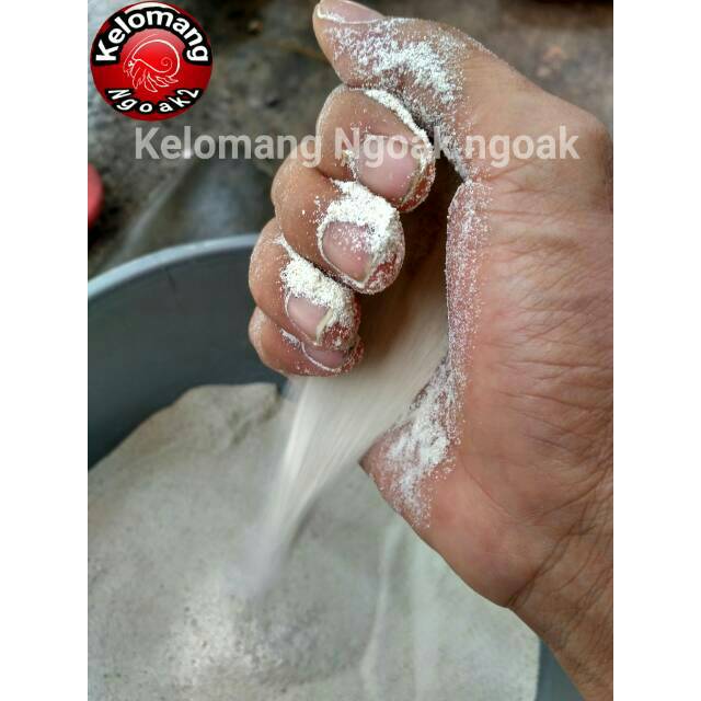 Pasir Laut Putih Halus