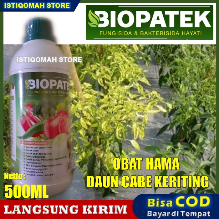 BIOPATEK 500ml Fungisida Hayati Obat Daun Cabe Keriting Kuning Dan Rontok | Obat Cabe Daun Kuning Da