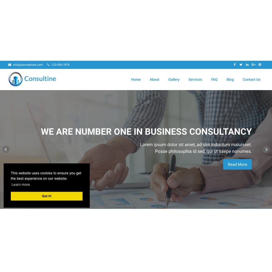 Aplikasi Website Bisnis Company Profile Perusahaan Profesional Plus CMS PHP