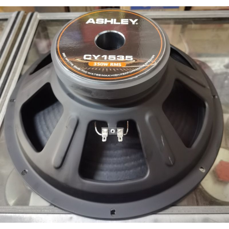 Speaker 15 inc Ashley CY1535