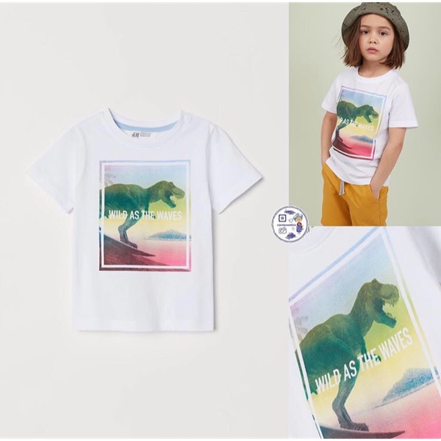 H&M Boys Tee dino keren