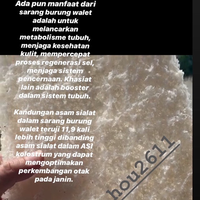 

Birdnest sarang burung walet siap masak bernutrisi