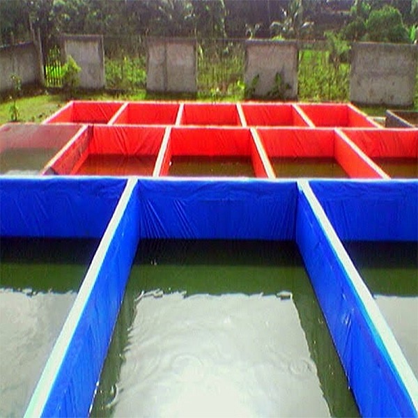 Terpal Kolam Terpal Ikan Kotak 200x500x60 / 500x200x60 / 2x5x06 / 5x2x06 Budidadya Ikan Lele, Nila, Gurame, Belut, Cupang, Beta, Udang