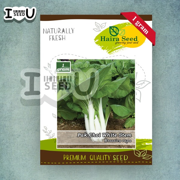 Haira Seed Bibit-Biji Pakcoy White Steam