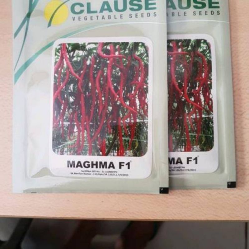 Benih CABE MAGHMA F1/10GRAM-CLAUSE