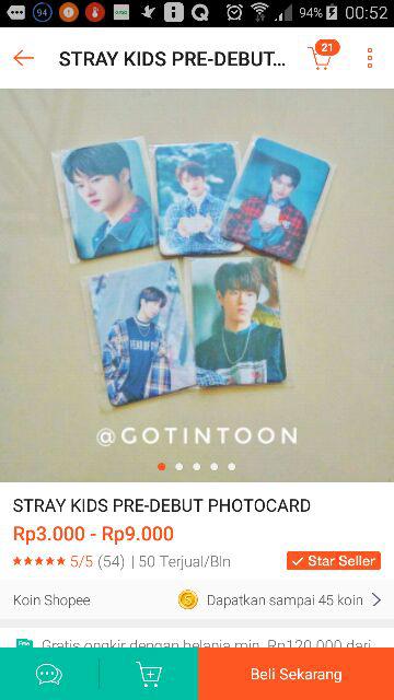 Stray Kids Pre-debut (kpop Photocard)