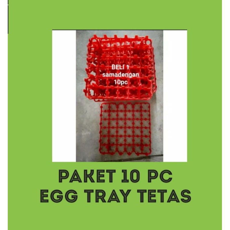EggTray tetas eggtray telur tempat telur 36 Butir