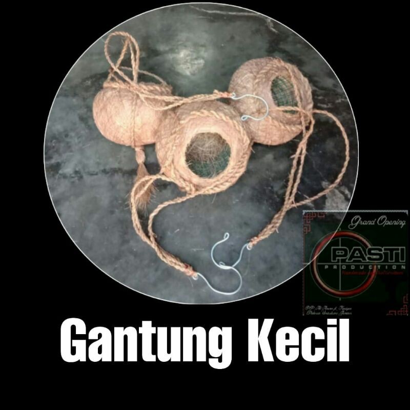 pot sabut kelapa"melon gantung kecil"