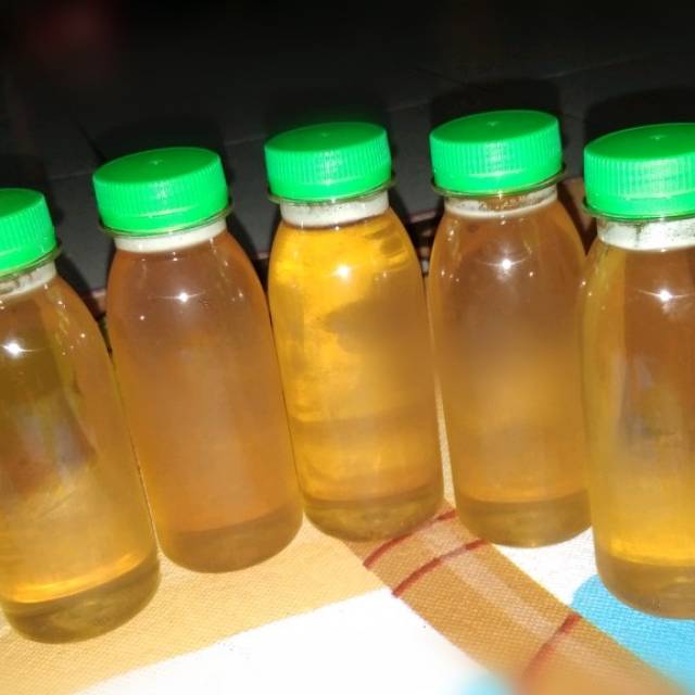 

Madu kelulut