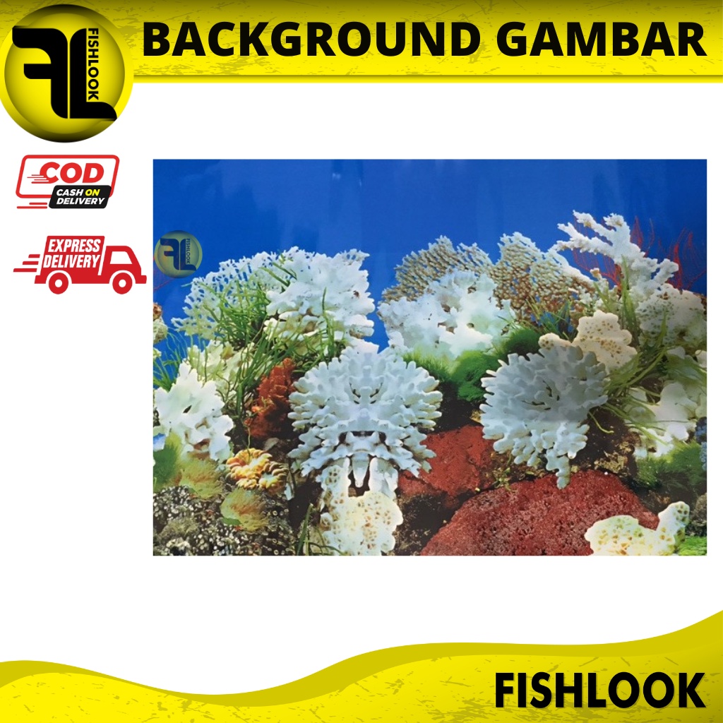 Background Gambar Latar Akuarium 40 - 60 CM Aquascape Hiasan PERMETER