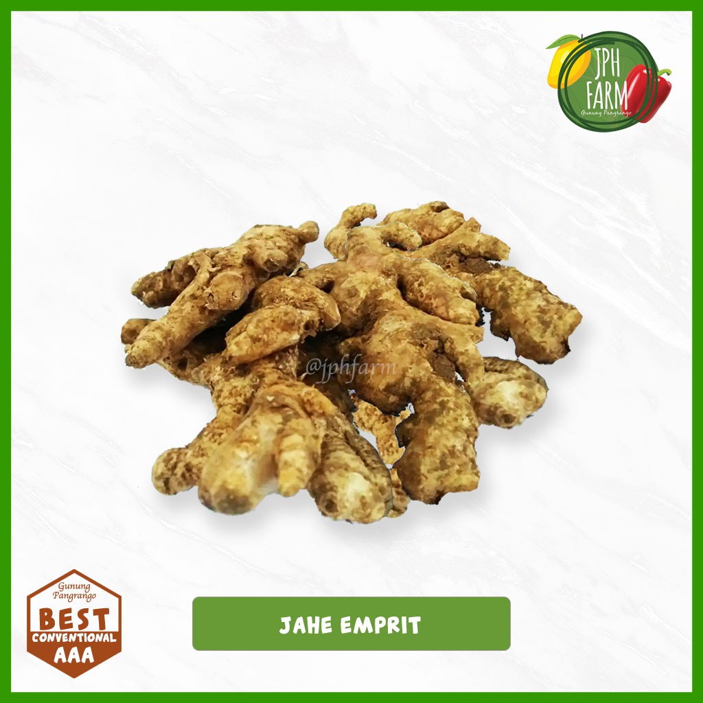 

Jahe Emprit, Rimpang Jahe, Jahe Kecil Pedas, Jahe Obat 500g